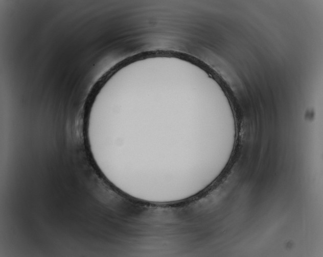 X0000103930877200809261701
