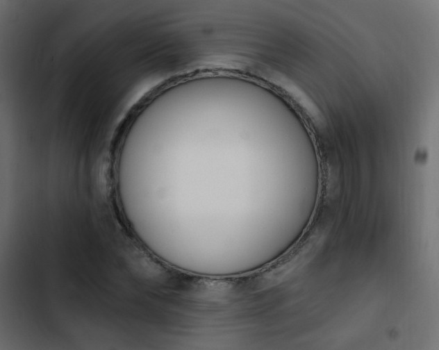 X0000103930878200809261701