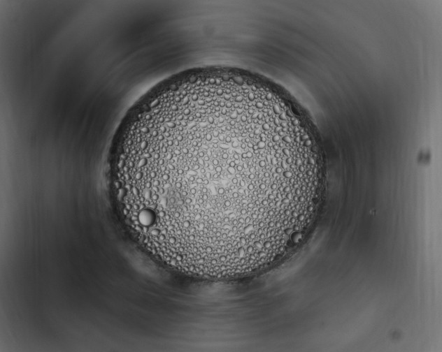 X0000103930879200809261701