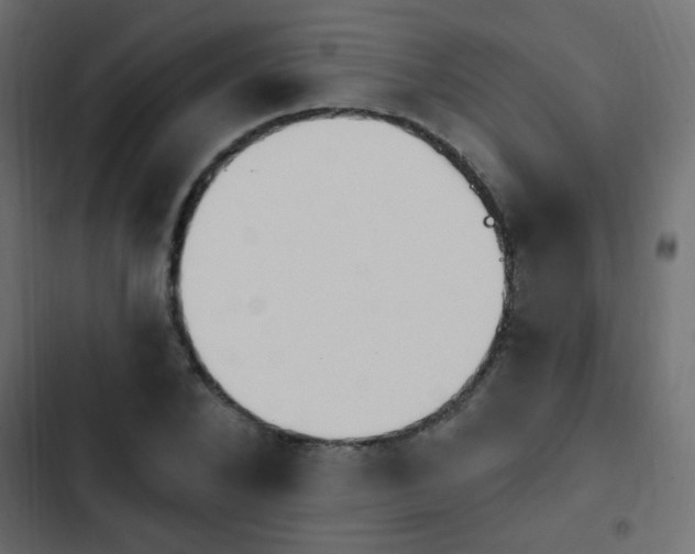 X0000103930880200809261701