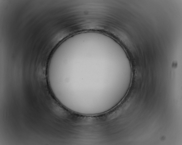 X0000103930881200809261701