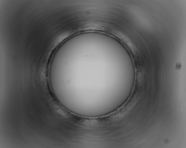 X0000103930882200809261701