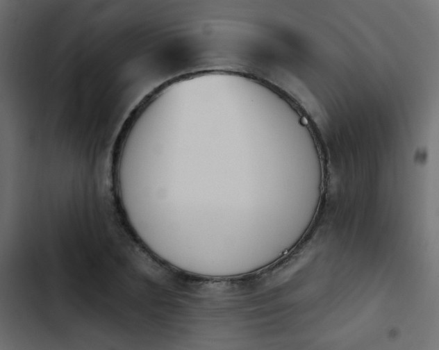 X0000103930883200809261701