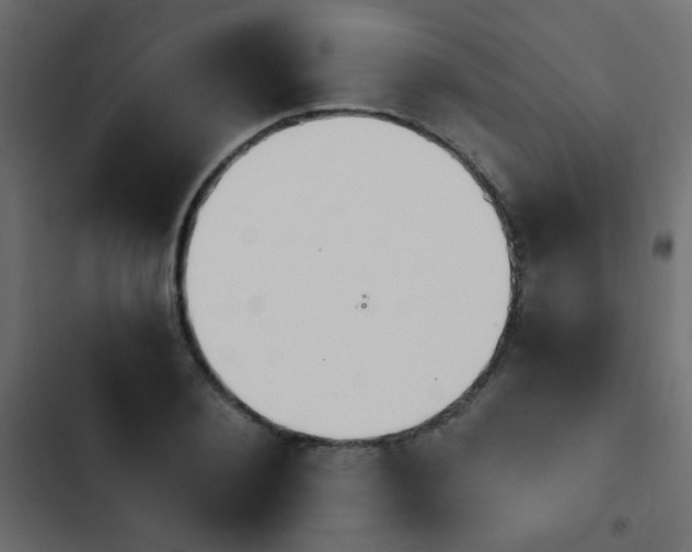X0000103930884200809261701