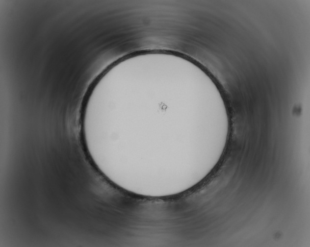 X0000103930885200809261701