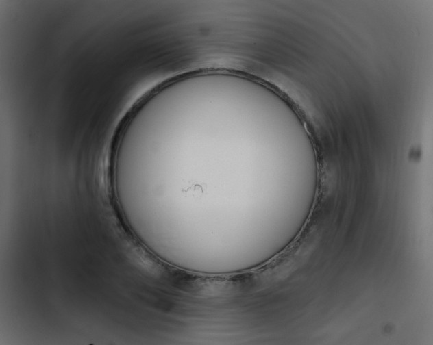 X0000103930886200809261701