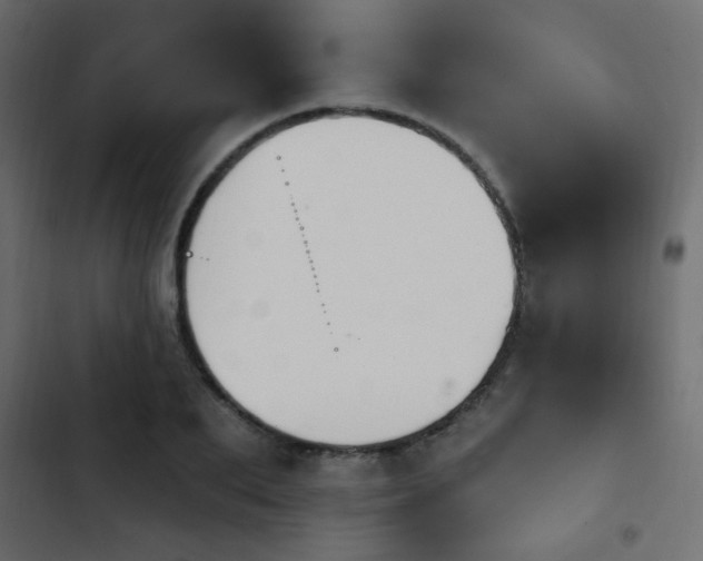 X0000103930887200809261701