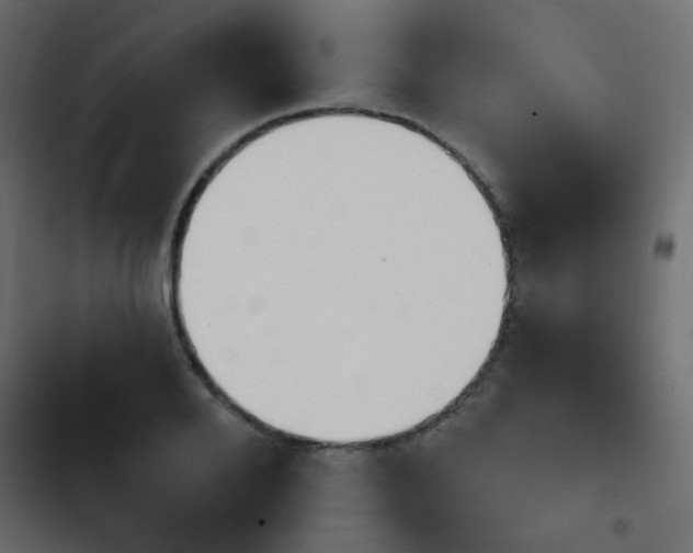 X0000103930888200809261701