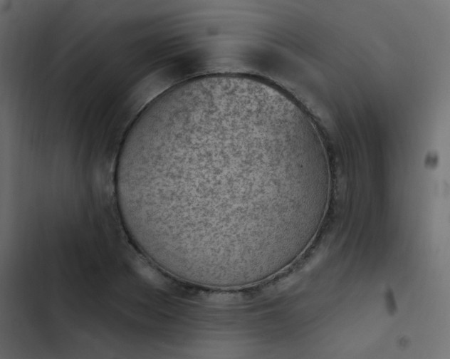 X0000103930889200809261701