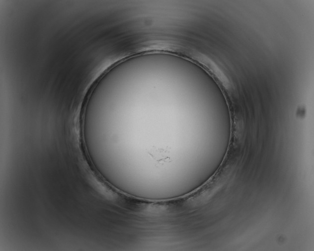 X0000103930890200809261701