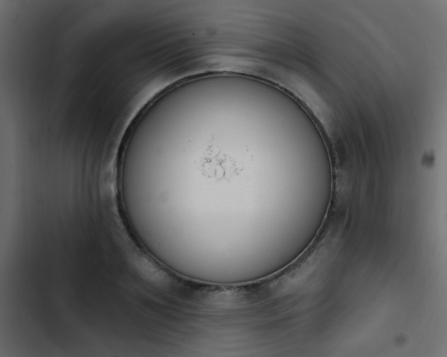 X0000103930891200809261701