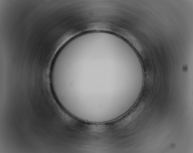 X0000103930893200809261701