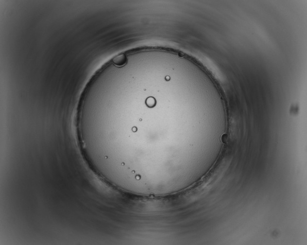 X0000103930895200809261701