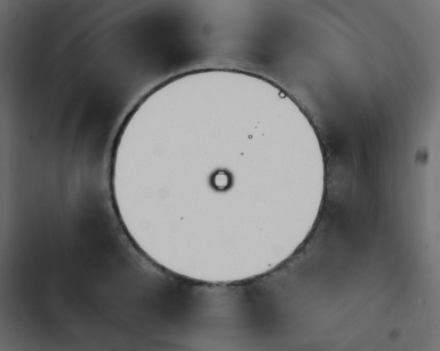 X0000103930896200809261701