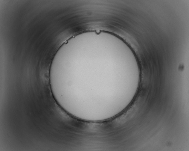 X0000103930897200809261701