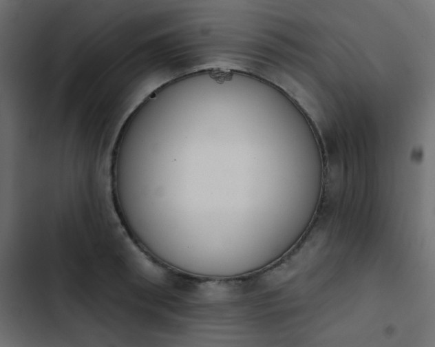 X0000103930898200809261701