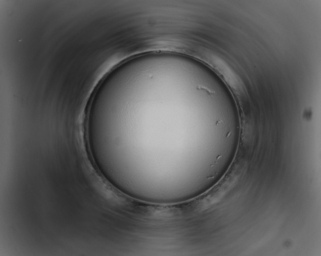 X0000103930899200809261701