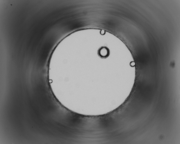 X0000103930900200809261701
