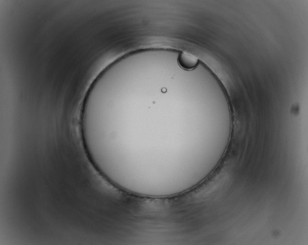X0000103930901200809261701