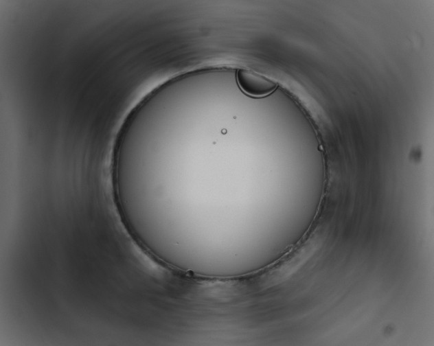 X0000103930902200809261701