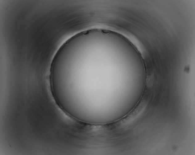 X0000103930903200809261701
