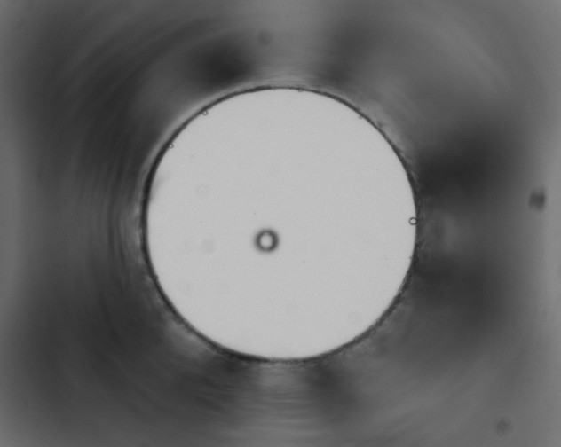 X0000103930904200809261701