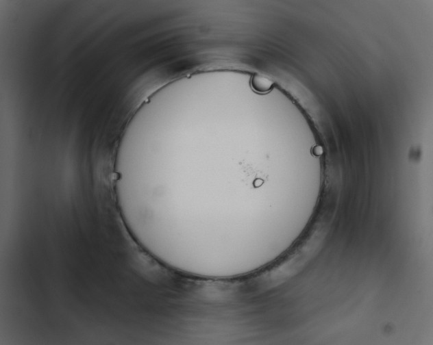 X0000103930905200809261701