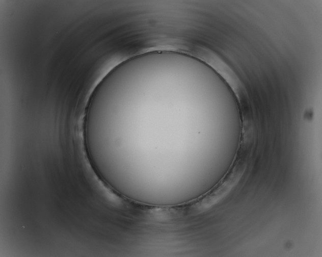 X0000103930906200809261701