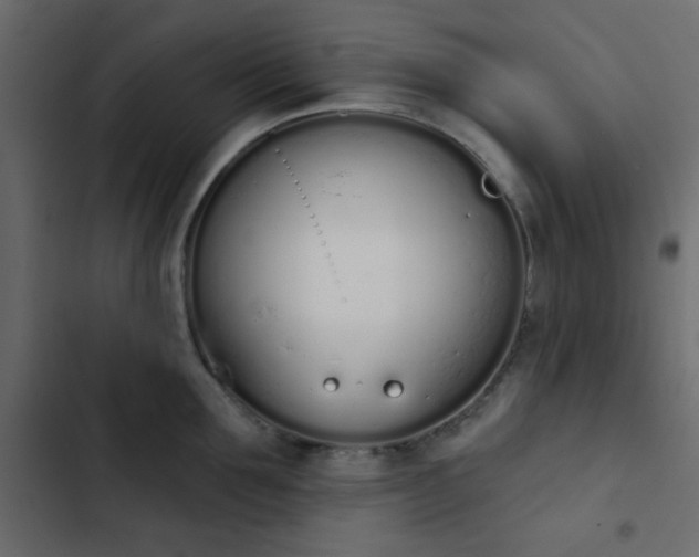 X0000103930907200809261701
