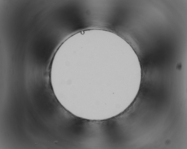 X0000103930908200809261701