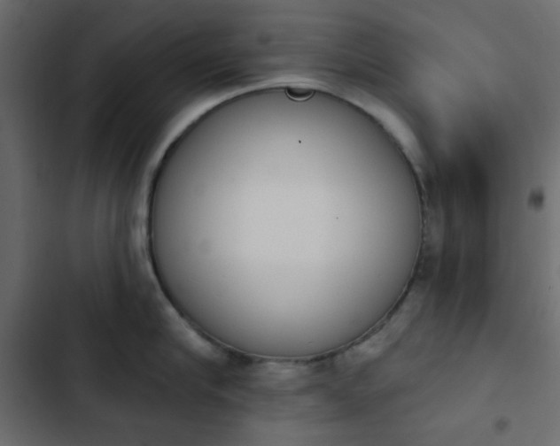 X0000103930910200809261701