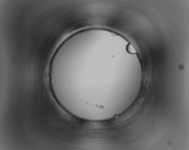 X0000103930911200809261701