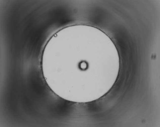 X0000103930912200809261701