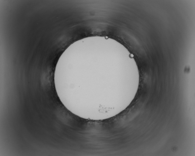 X0000103930914200809261700