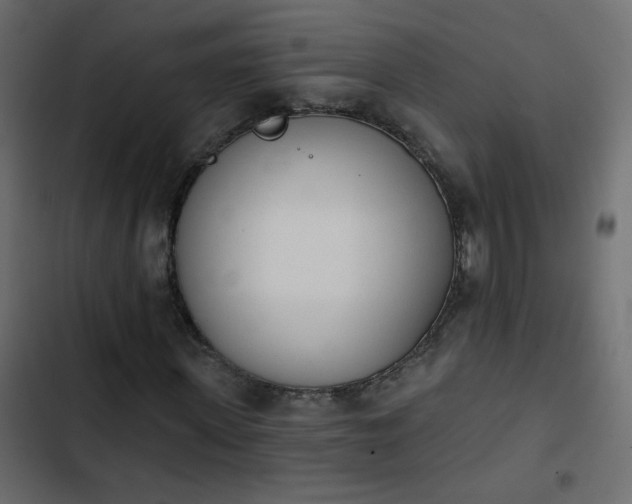 X0000103930915200809261700