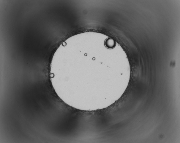 X0000103930916200809261700