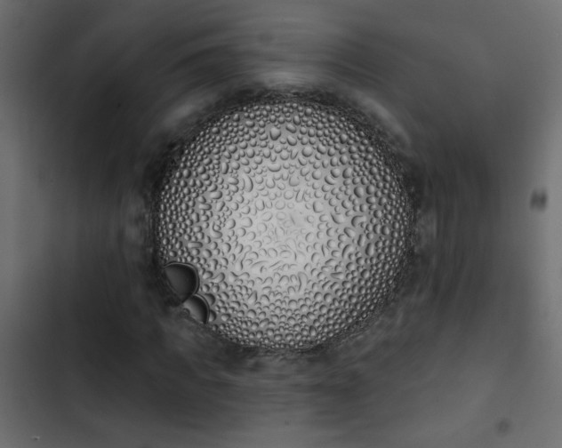 X0000103930917200809261700