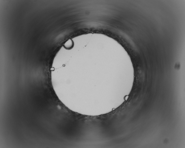 X0000103930918200809261700