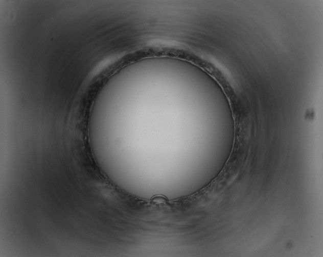 X0000103930919200809261700
