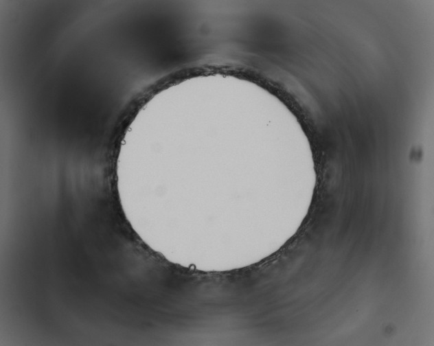 X0000103930920200809261700