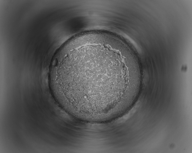 X0000103930921200809261700