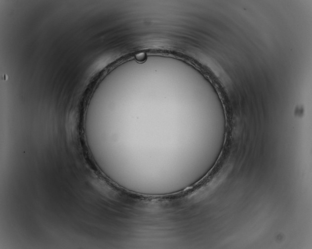 X0000103930922200809261700