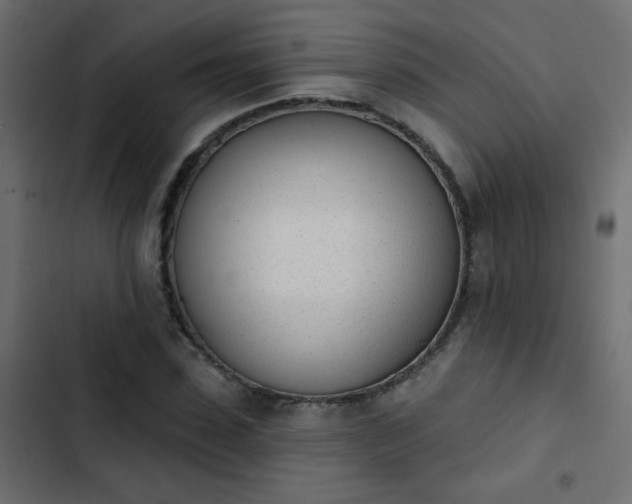 X0000103930923200809261700