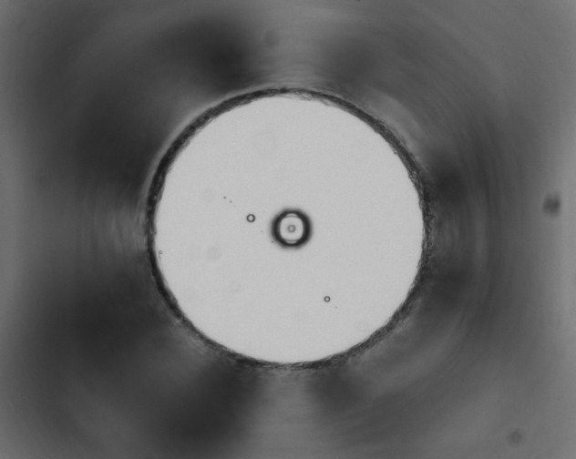 X0000103930924200809261700