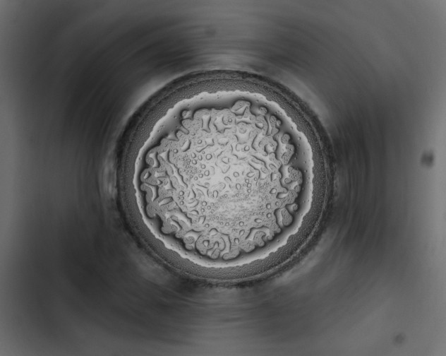 X0000103930925200809261700