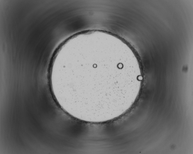X0000103930928200809261700