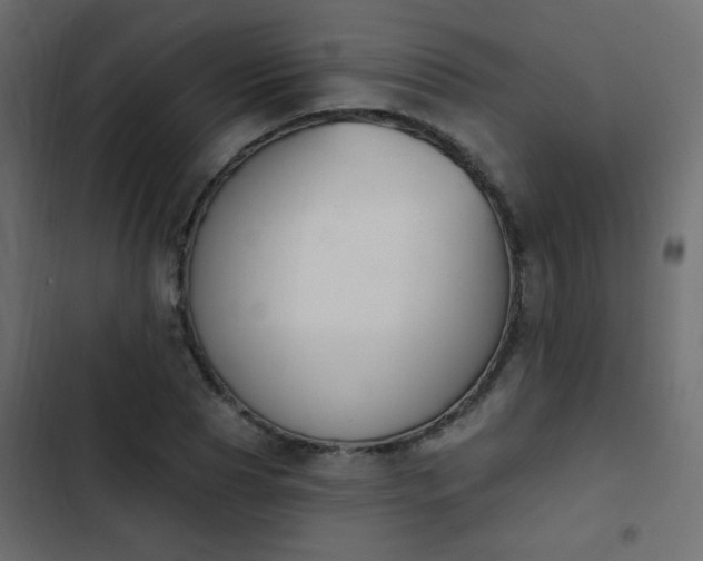 X0000103930929200809261700