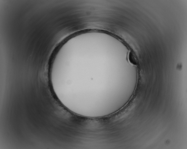 X0000103930931200809261700