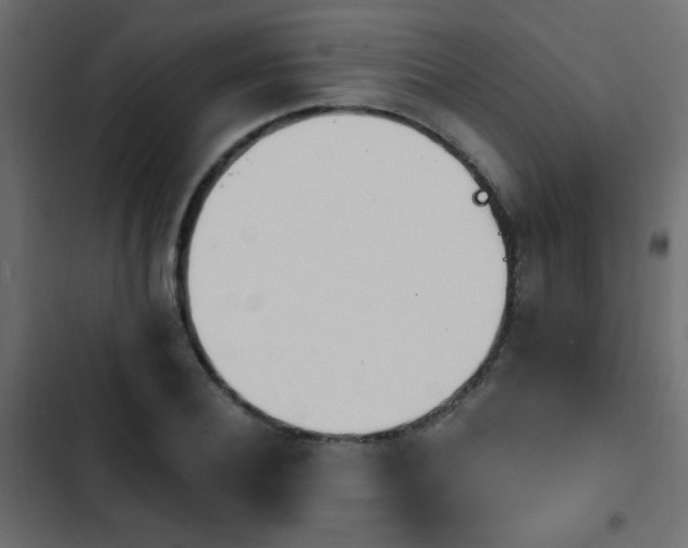 X0000103930932200809261700