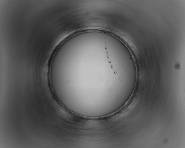 X0000103930933200809261700